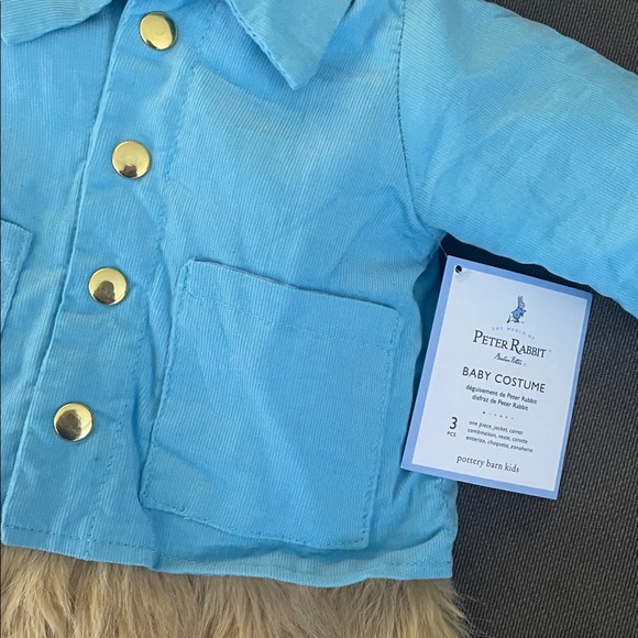 Peter Rabbit Costume - Picture 3 of 7